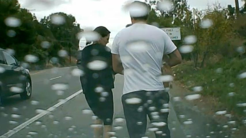 Courteney Cox und der Retter ihrer Hunde
