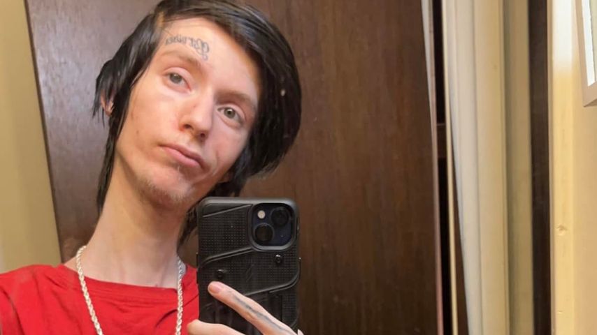 Daddy Long Neck, Webstar