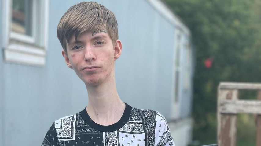 Daddy Long Neck, Webstar