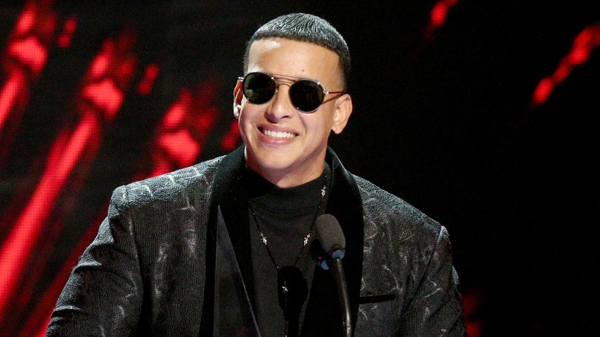 Daddy Yankee, Musiker