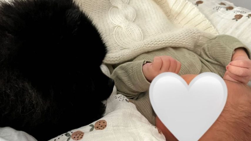 Dagi Bees Hund Zula mit Dagis Söhnchen Nelio