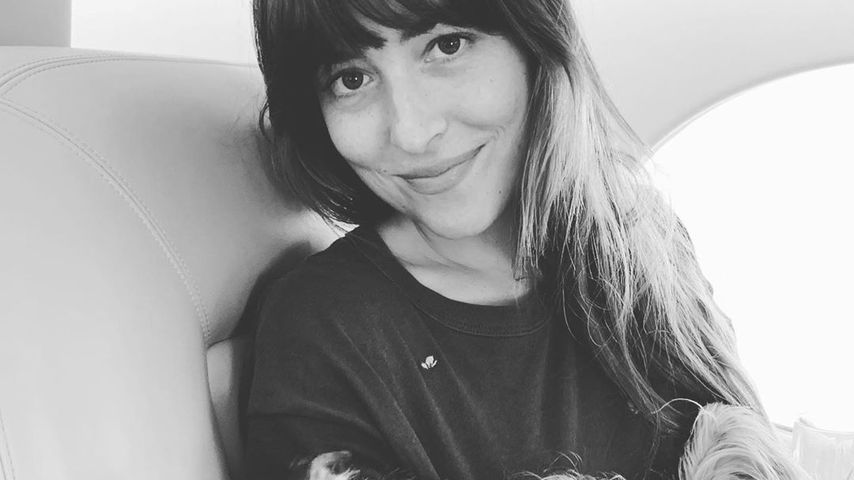 Dakota Johnson, Schauspielerin