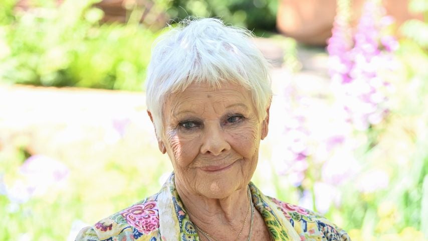 Kulturschock: Judi Dench kritisiert soziale Medien scharf