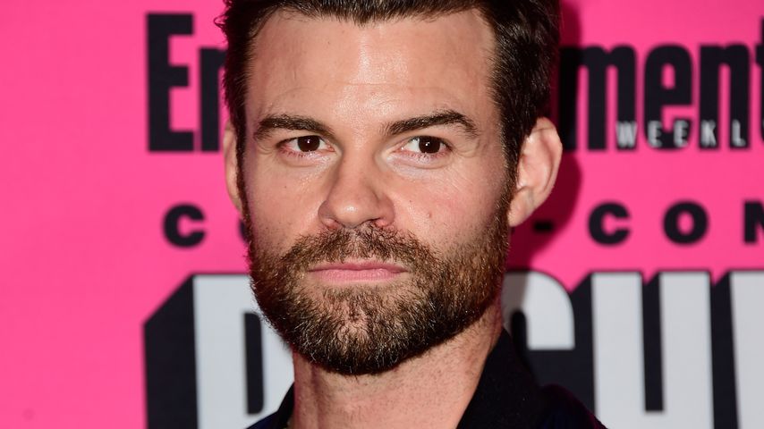 Daniel Gillies, Schauspieler