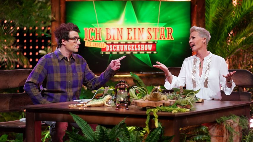 Wer soll die Dschungelshow und das goldene Ticket gewinnen?