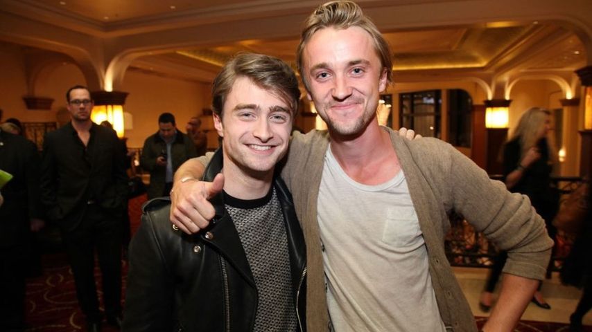 Tom Felton: Rollentausch mit Daniel Radcliffe geplant?