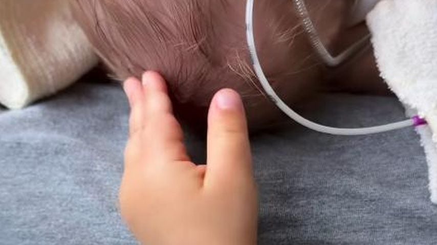 Hand von Daniel und Eva Lotts Tochter Mavie und Kopf von Sohn Leo