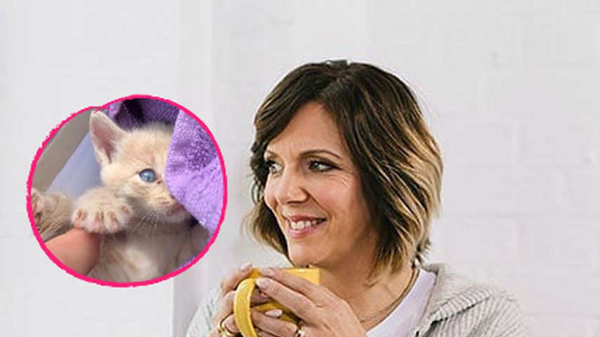 Hat Danni Büchner ihre neue Katze gar nicht selbst gefunden?