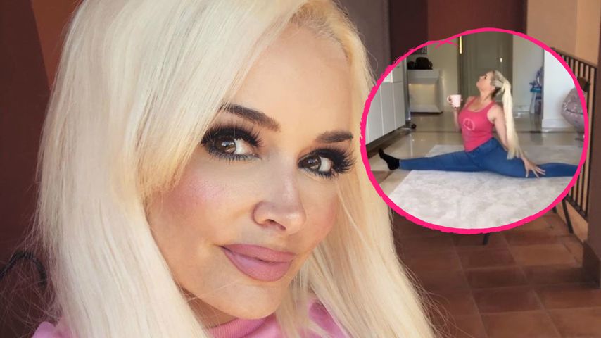 In Jeans und mit Kaffee in der Hand: Die Katze kann Spagat!