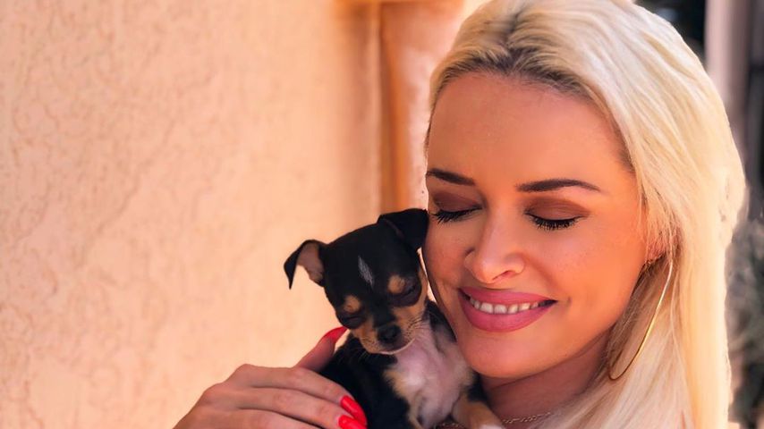 Daniela Katzenberger mit ihrem Hündchen