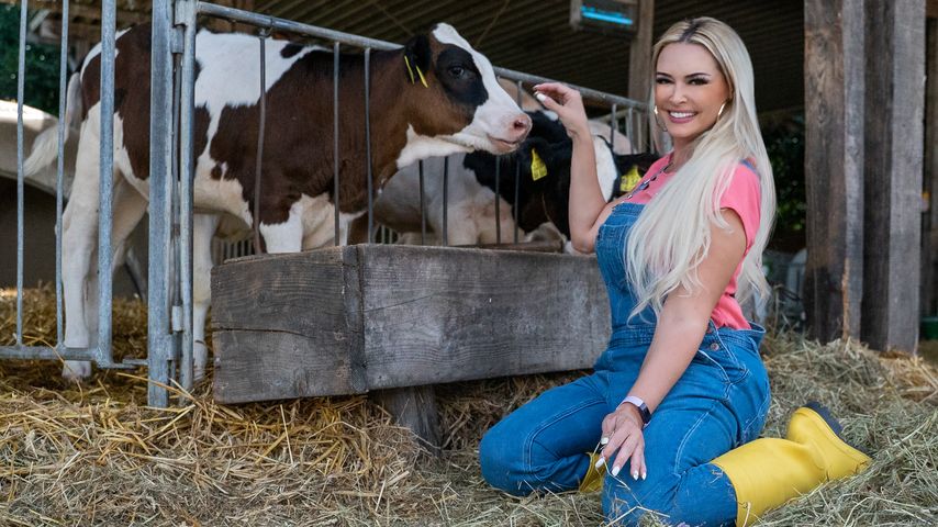 So schlägt sich Dani Katzenberger beim Kuhstall-Ausmisten