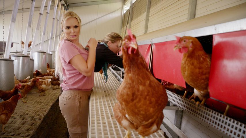 Ei, Ei, Ei: Daniela Katzenberger scheitert im Hühnerstall!