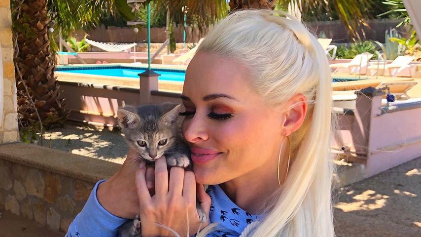 Daniela Katzenberger, TV-Star
