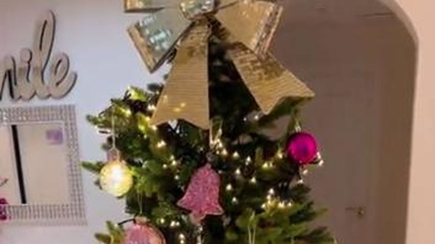 Daniela Katzenbergers Weihnachtsbaum