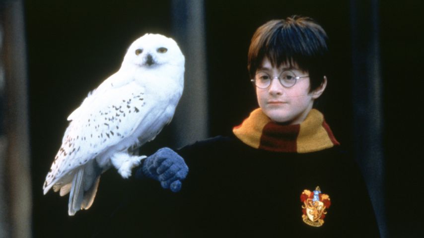 Daniel Radcliffe in "Harry Potter und der Stein der Weisen"