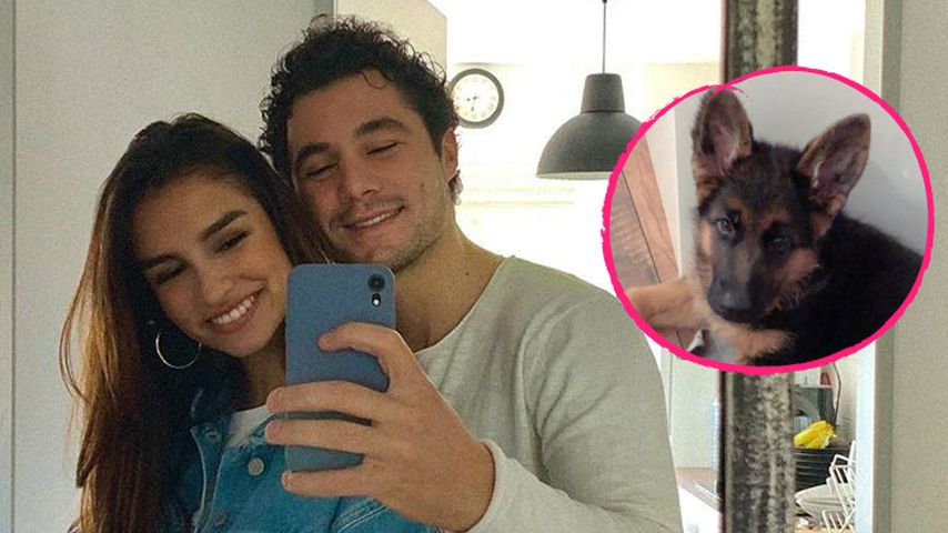 Danilo Cristilli und seine Freundin sind jetzt Hunde-Eltern