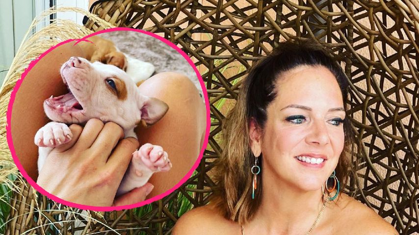 "Unser Baby": Danni Büchner und Sohel haben jetzt einen Hund