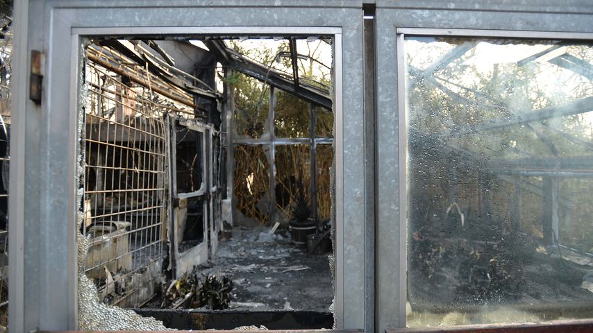 Das abgebrannte Affenhaus im Krefelder Zoo