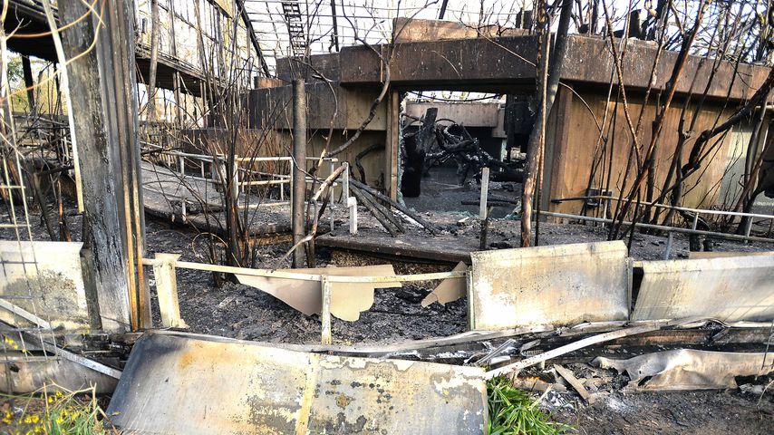 Das abgebrannte Affenhaus im Krefelder Zoo