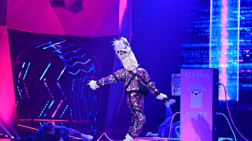 Das Alpaka alias Sylvie Meis bei "The Masked Singer"