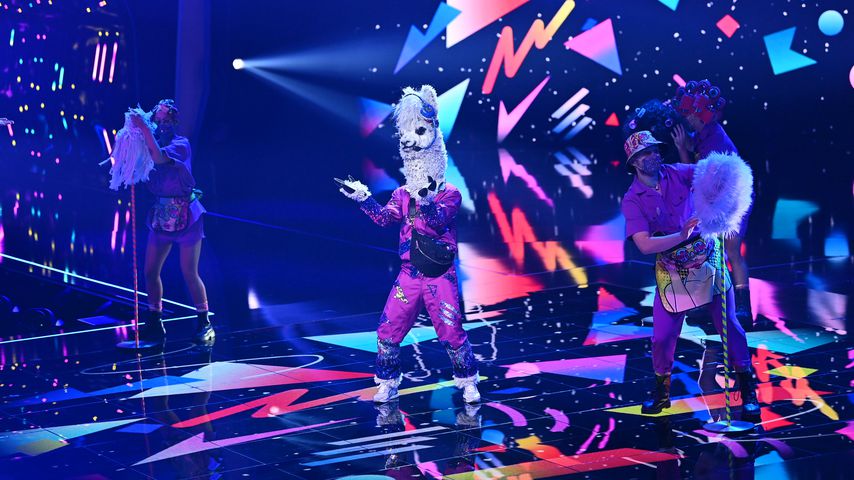 Das Alpaka beim Live-Auftritt in der dritten Folge von "The Masked Singer"