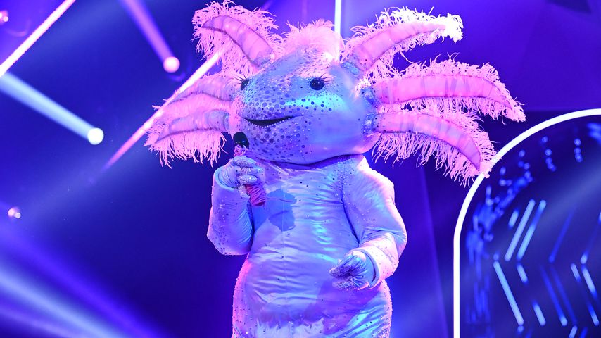 Das Axolotl bei "The Masked Singer"