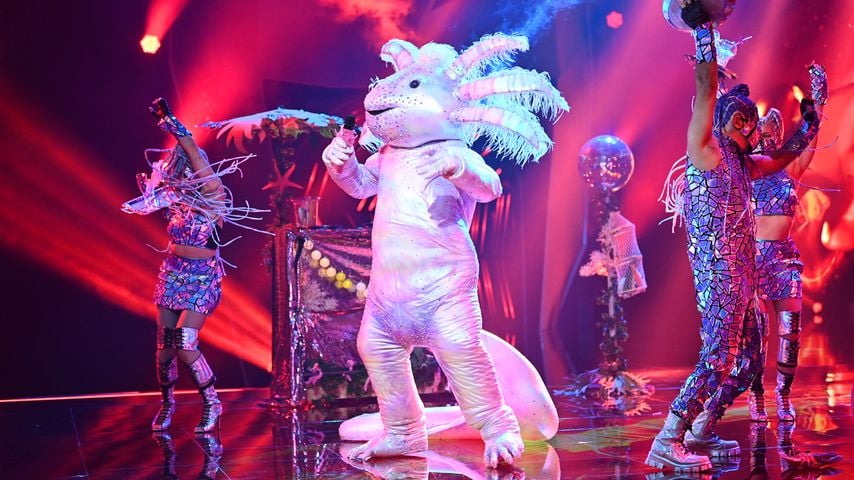 So sollte es mit dem "The Masked Singer"-Axolotl weitergehen
