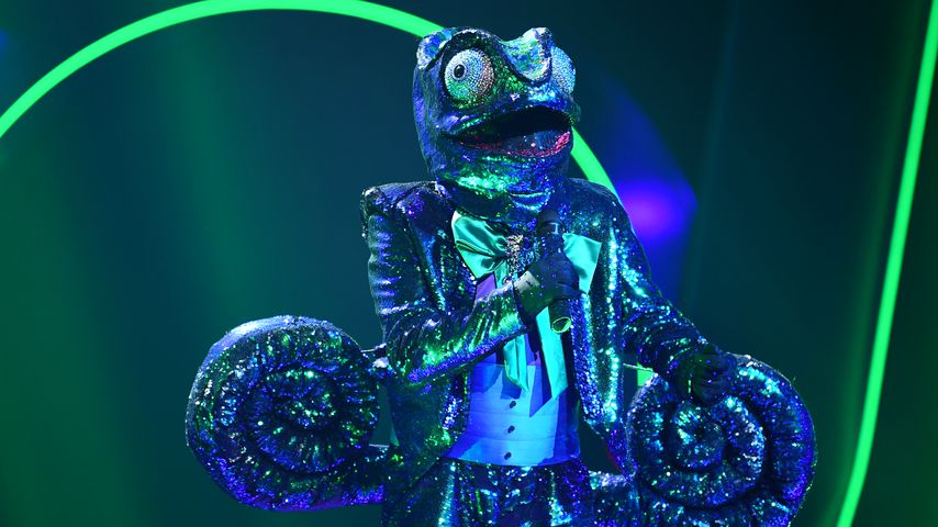 Das "The Masked Singer"-Chamäleon