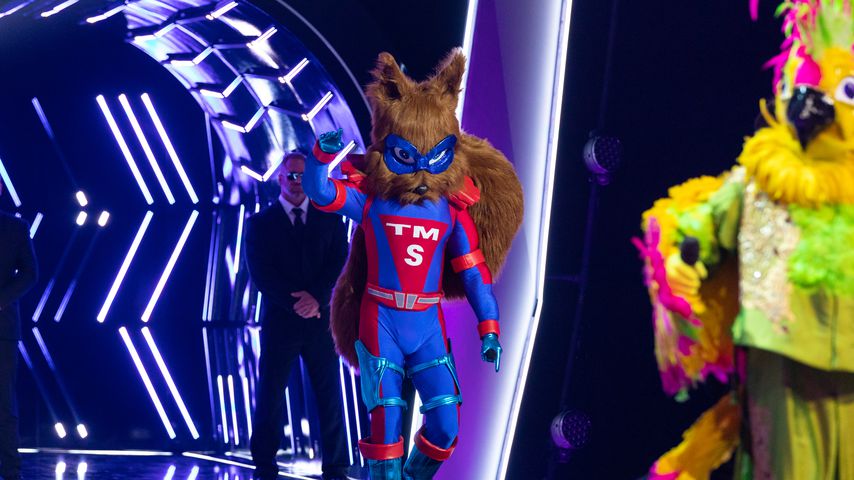 "The Masked Singer": Nur acht Menschen kennen alle Promis