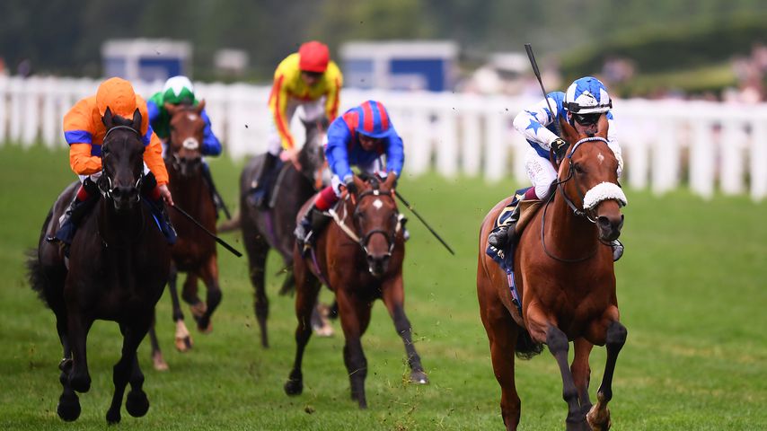 Das Feld beim Royal Ascot 2021
