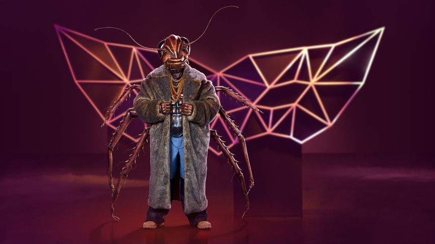 Das Kakerlakenkostüm bei "The Masked Singer"