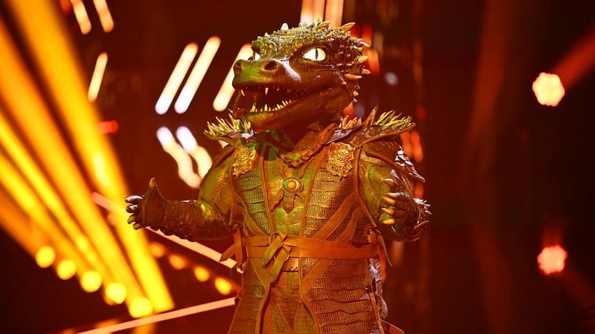 Indizien passen! Ist er das "The Masked Singer"-Krokodil?