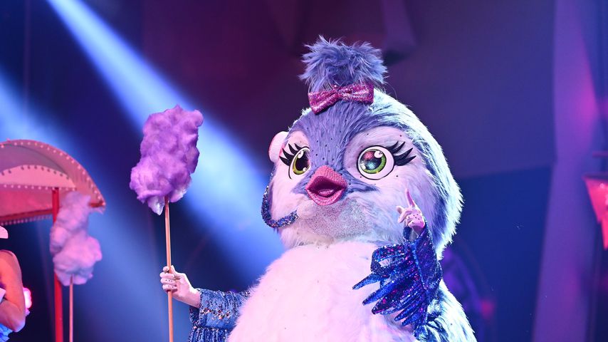 Das Küken bei "The Masked Singer"