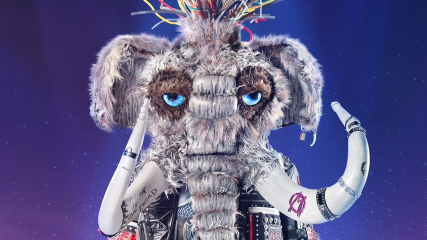 "The Masked Singer Switzerland": Das sind die neuen Kostüme!
