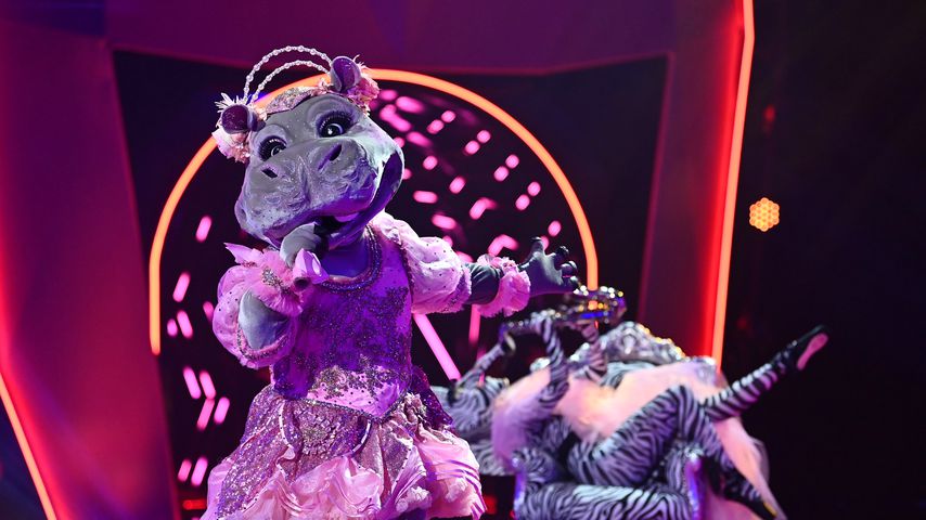 Das Nilpferd bei "The Masked Singer"