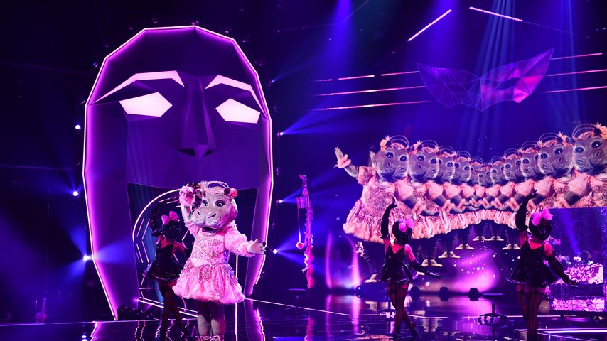 Das Nilpferd bei "The Masked Singer"