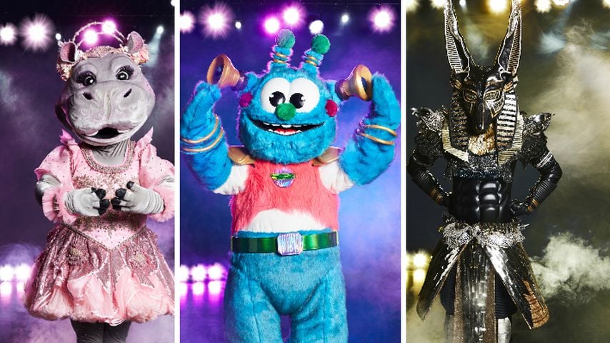 Diese "The Masked Singer"-Kostüme bleiben ein großes Rätsel!