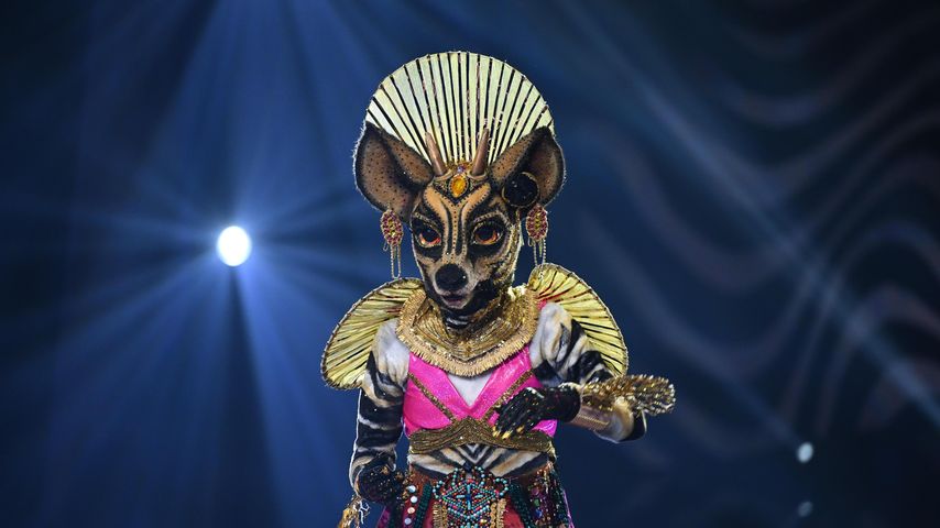 Das Okapi bei "The Masked Singer" 2023