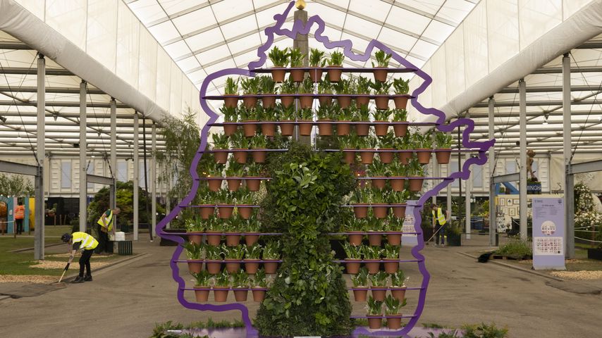 Das Profil der Queen bei der Chelsea Flower Show