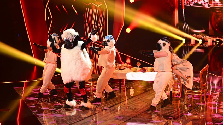 Das Schaf bei "The Masked Dancer"