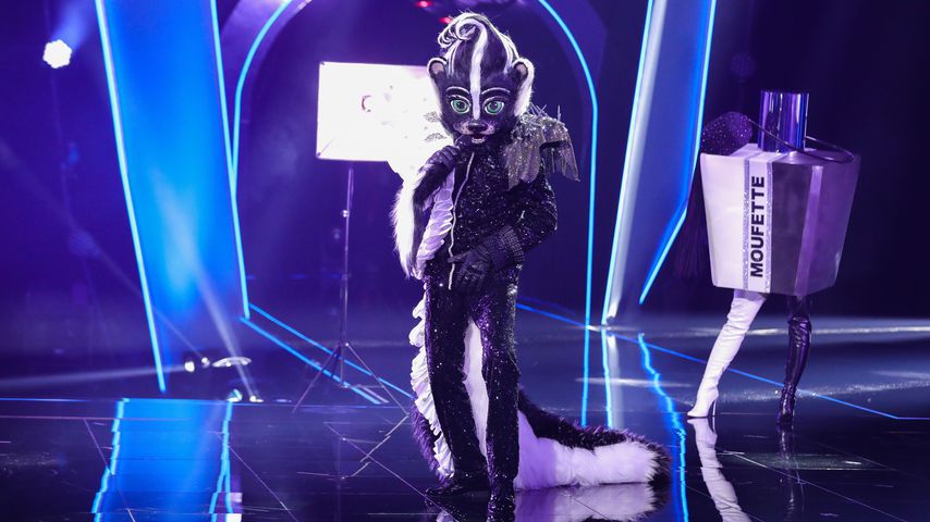 Das Stinktier bei "The Masked Singer"