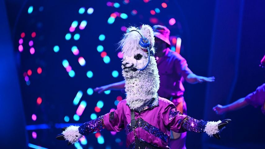 Das "The Masked Singer"-Alpaka