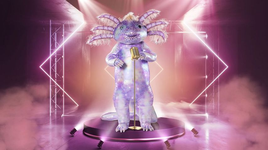 Das "The Masked Singer"-Axolotl