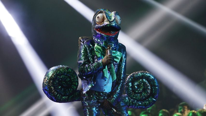 Wie erwartet? Dieser Promi ist "Masked Singer"-Chamäleon!