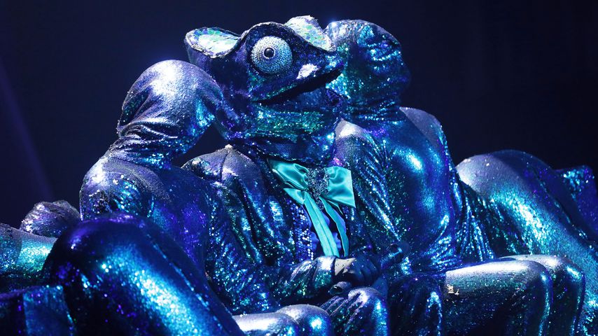 Gibt es einen Voting-Skandal bei "Masked Singer"-Australia?
