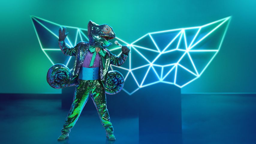 Das "The Masked Singer"-Chamäleon