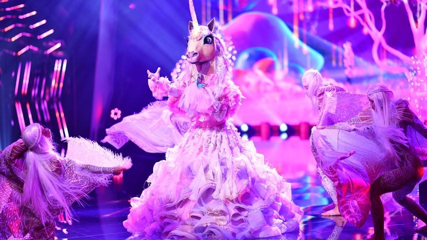 Das "The Masked Singer"-Einhorn