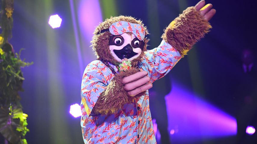 Das "The Masked Singer"-Faultier