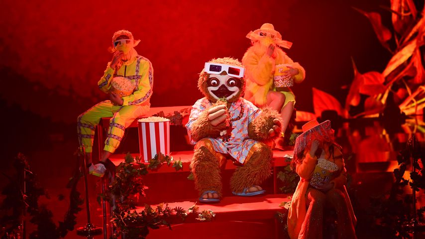 Das Faultier bei "The Masked Singer"