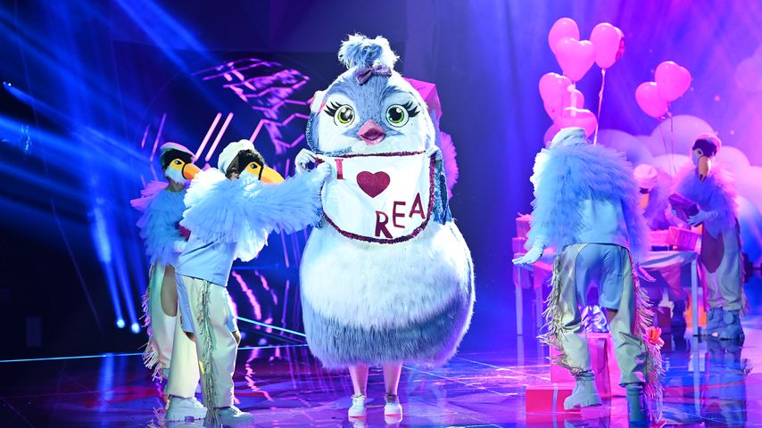 Das "The Masked Singer"-Küken